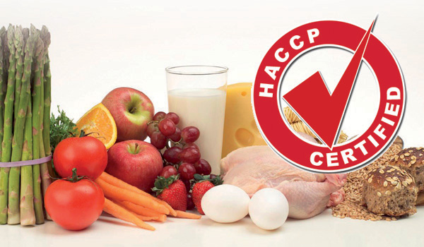 Czym jest HACCP?