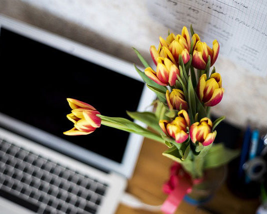 Czy kwiaty w biurze to dobry pomysł?