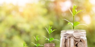 Jakie Altcoiny warto inwestować?