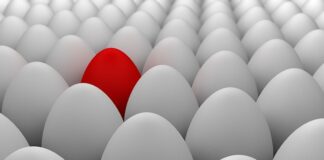 Kto pomaga w znalezieniu pracy?