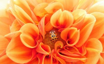 Jak stać się efektywnym?