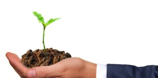 Kto może prowadzić zajęcia rozwijające umiejętności uczenia się?