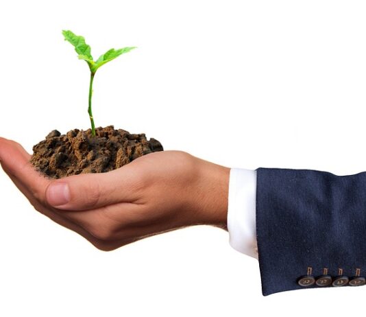 Kto może prowadzić zajęcia rozwijające umiejętności uczenia się?