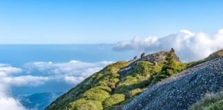 Jaka jest różnica między Linuxem a Windowsem?