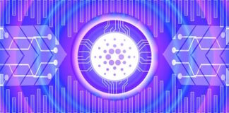 Czy Cardano wzrośnie?