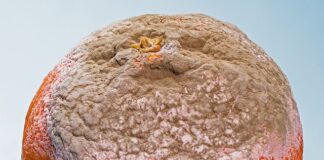 Jakie są formy reklamy?