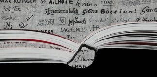 Ile pracodawca płaci ZUS za pracownika niepełnosprawnego?