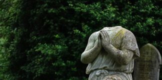 Jak kreować wizerunek firmy?