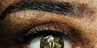 Ile szkoła dostaje na ucznia z orzeczeniem 2023?