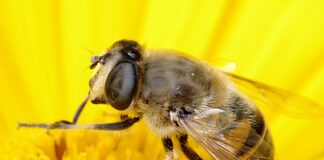 Czy istnieje wyraźny związek między przystosowaniem się dziecka do nowych warunków a wiekiem?