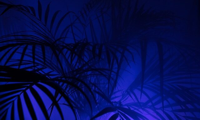 Co oznacza 4P w marketingu?