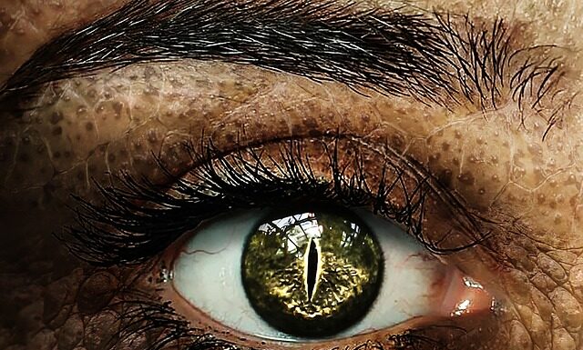 Jak zwolnić ucznia który nie przychodzi na praktyki?