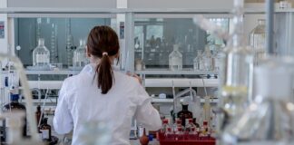 Na czym polega badanie rynku?