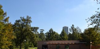 Co stało się łatwiejsze dzięki Internetowi?