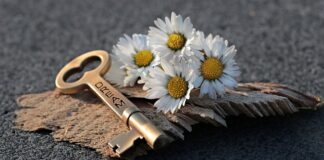 Jaką firmę otworzyć aby zarobić?