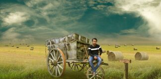 Jaki system jest w Polsce?