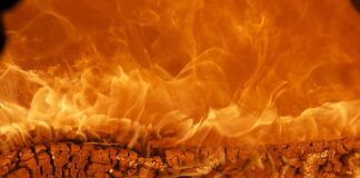 Co daje marka osobista? Co daje marka osobista?