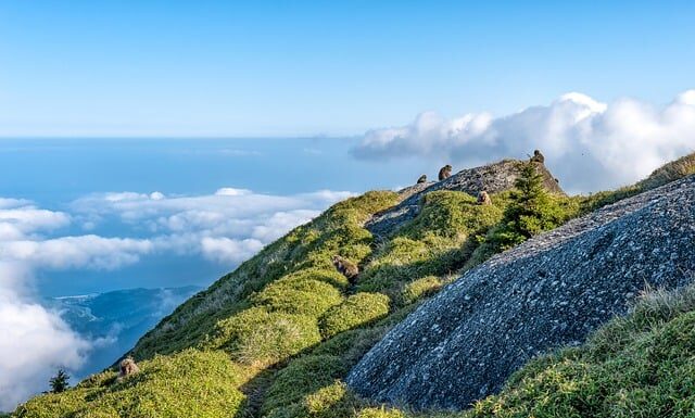 Jaka jest różnica między job agency a agencja pracy tymczasowej?