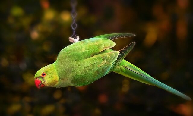 Jak dostosowanie wymagań edukacyjnych do potrzeb i możliwości uczniów?