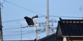 Jakie są obszary badań marketingowych?