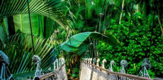 Jak wyglądają kursy w szkole zawodowej?