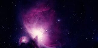 Co może być obiektem badań marketingowych?