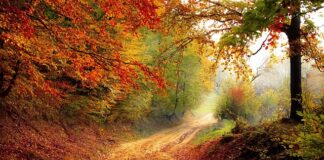 Co oznacza spadek ROE?