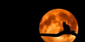 O której roczne dziecko powinno iść spać?